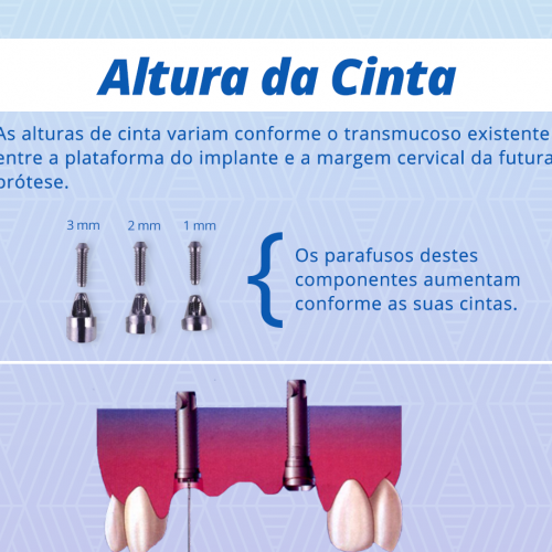 altura-da-cinta